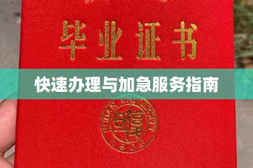 山阳快速办理与加急服务指南