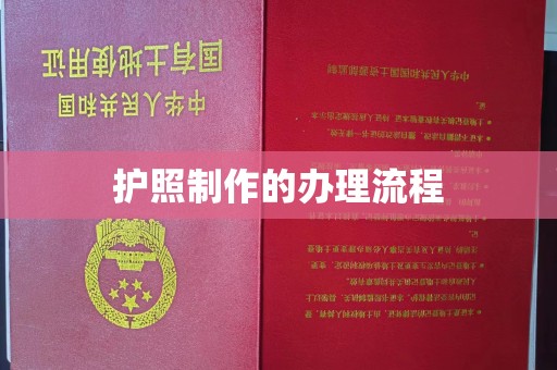 山阳护照制作的办理流程