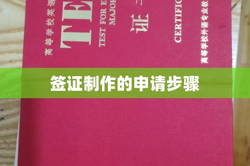 山阳签证制作的申请步骤