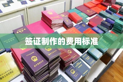 山阳签证制作的费用标准