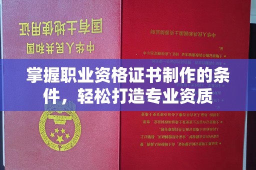 山阳掌握职业资格证书制作的条件，轻松打造专业资质