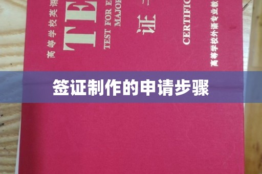 山阳签证制作的申请步骤