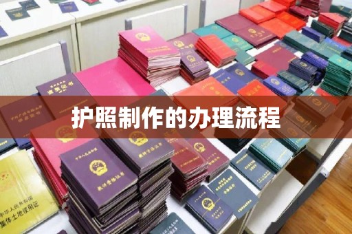 山阳护照制作的办理流程